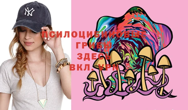 прущая мука Абаза