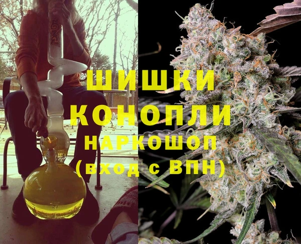 крисы Алзамай