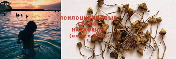 прущая мука Абаза