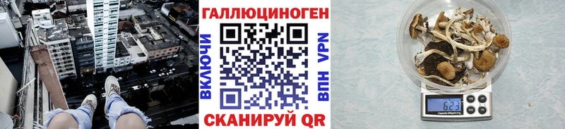 гидра зеркало  Каменка  Галлюциногенные грибы MAGIC MUSHROOMS 