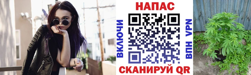 hydra ссылка  Каменка  Шишки марихуана OG Kush 